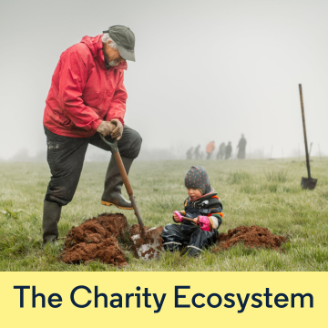 Philanthropy Insights Graphics The Charity Ecosystem
