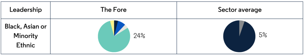 A pie chart showing that in 2022, 24% of our funded charities were led by individuals from Black, Asian and Minority Ethnic backgrounds

This is compared to 5.3% as a sector average